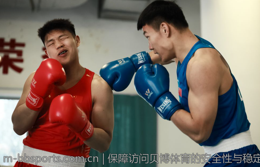 保障访问贝博体育的安全性与稳定性